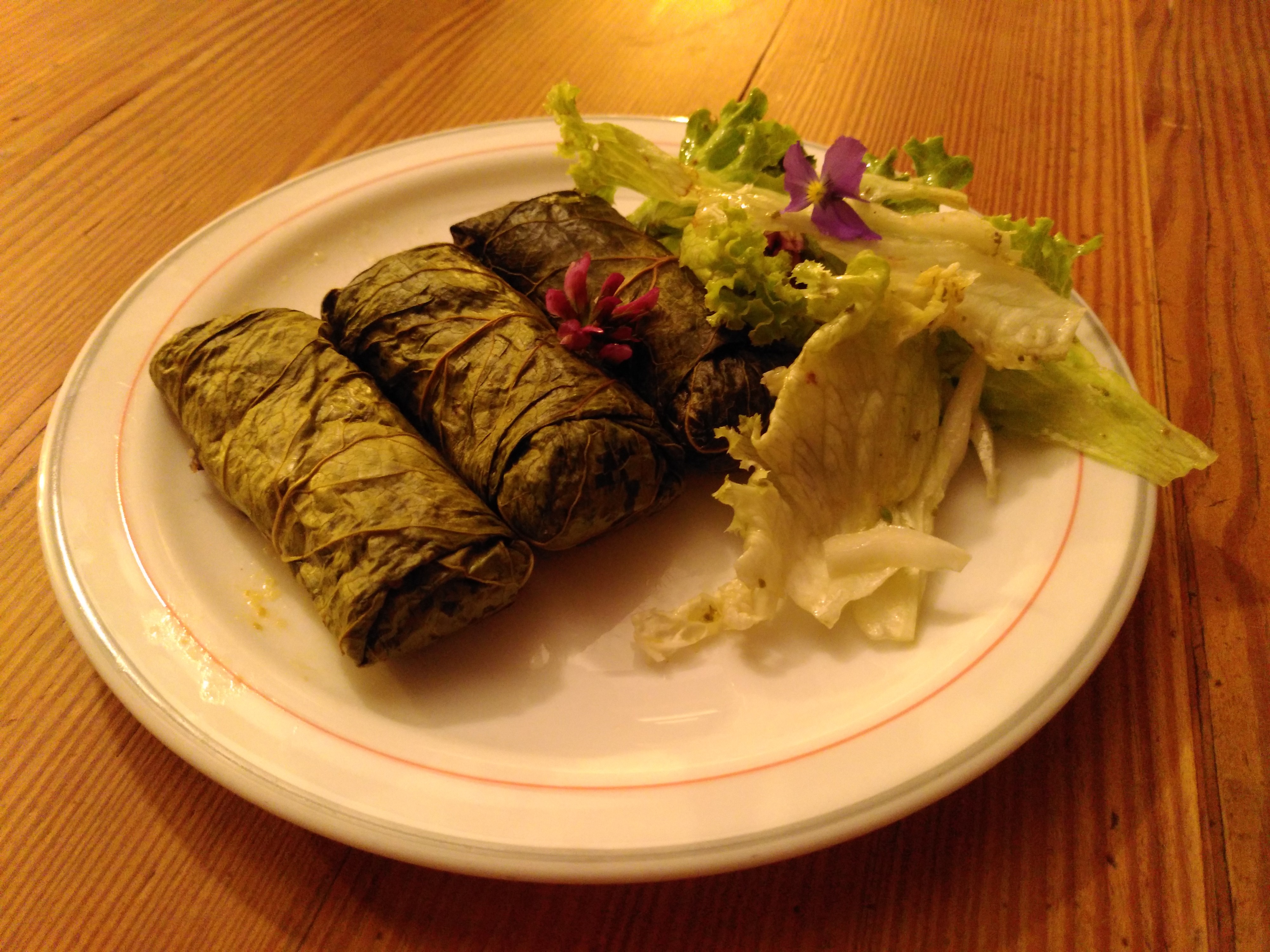 Dolmadès de limbes de rumex alpin (Rumex alpinus)
