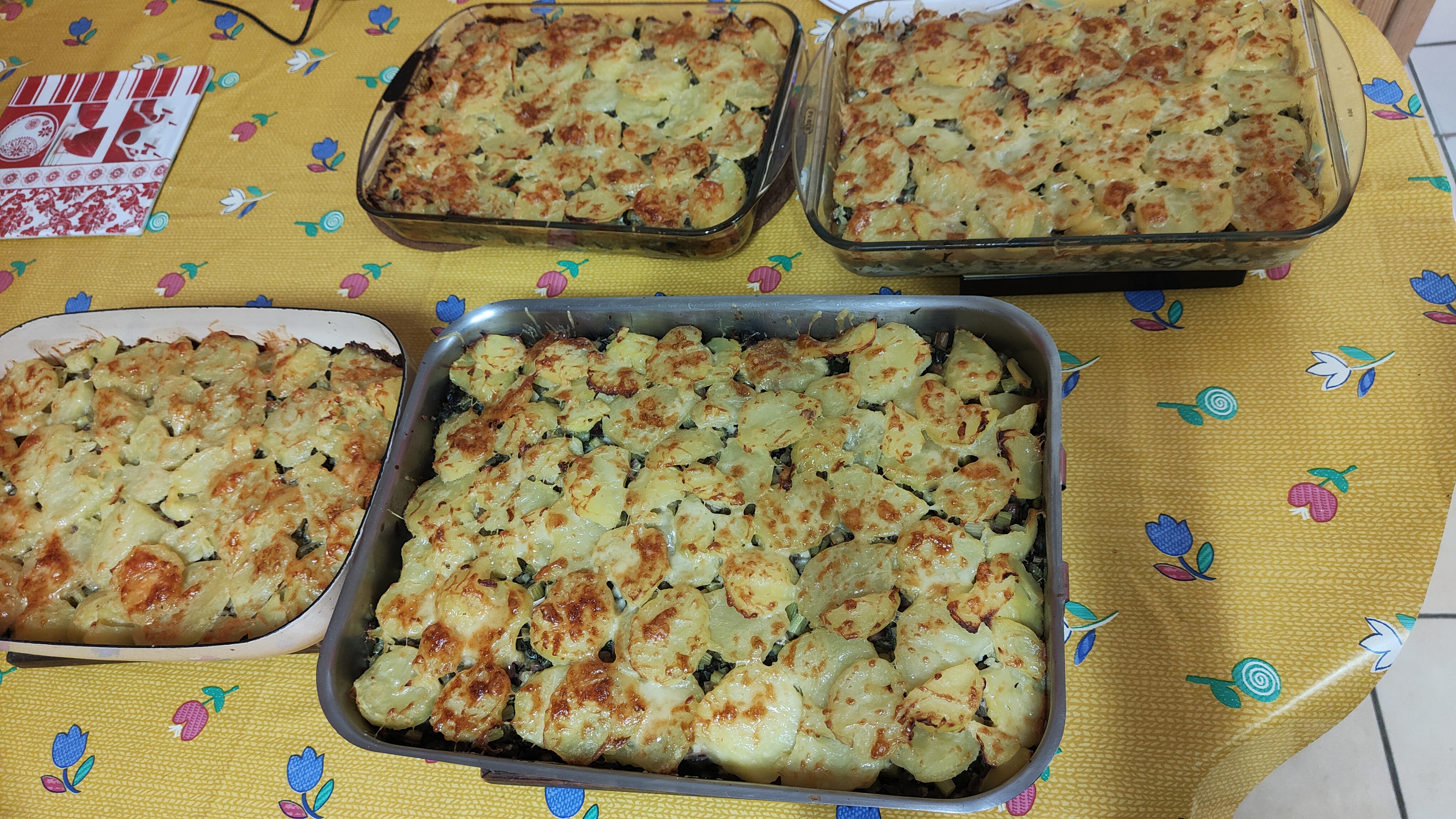 Gratin de bette maritime et de berce