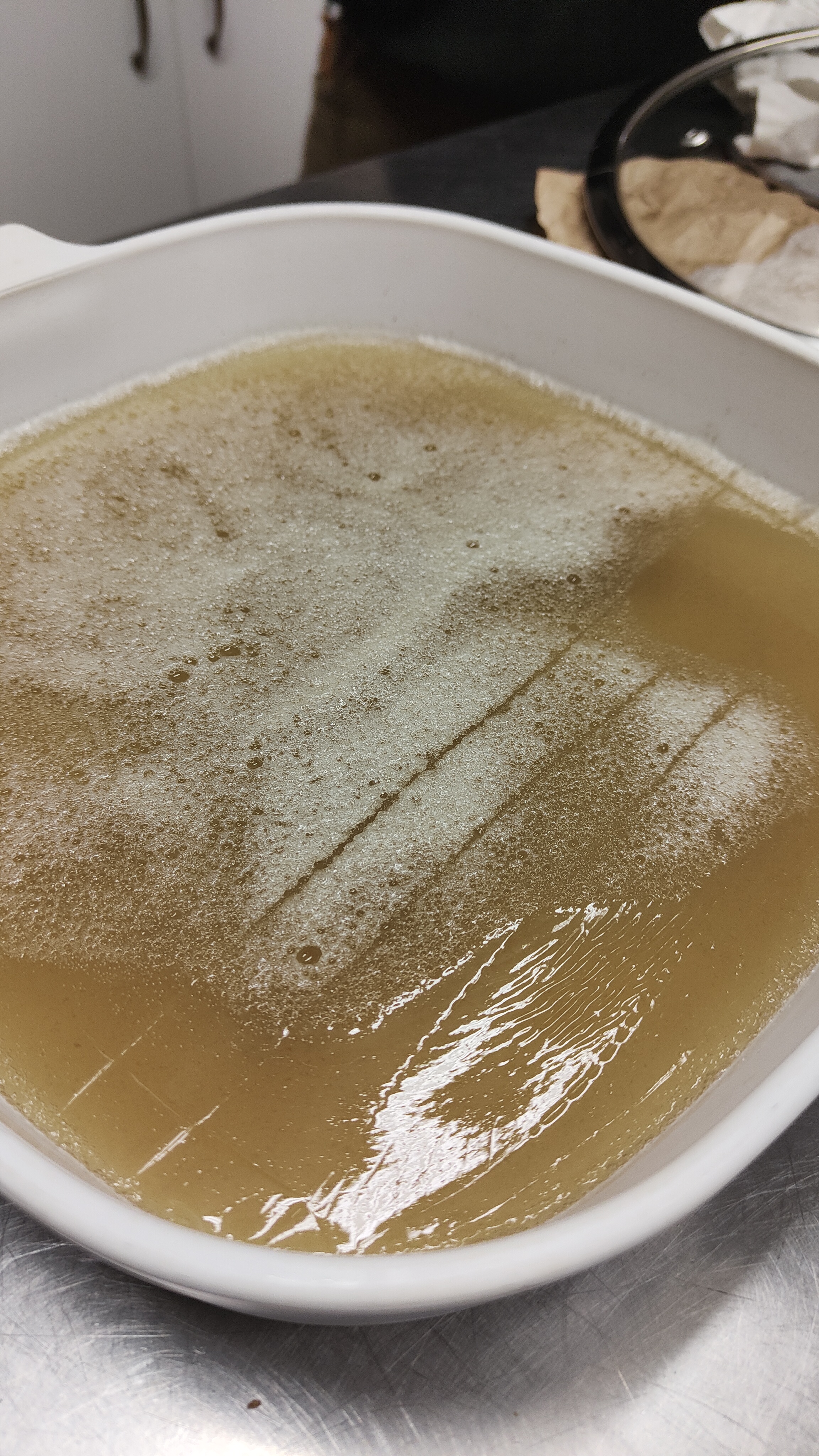 Tokoroten à la gracilaria